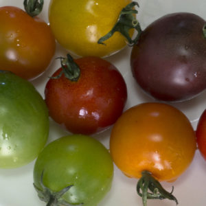 派手色野菜のミニトマト